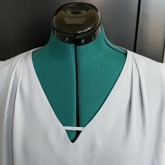 **Banana Republic** Barely Blue Size Medium Blouse - Picture 3 of 6